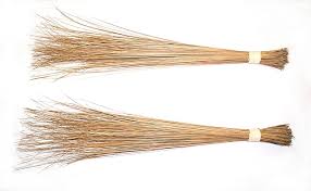 Coconut Broom Grass 